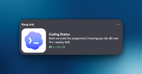 Discord Coding Status